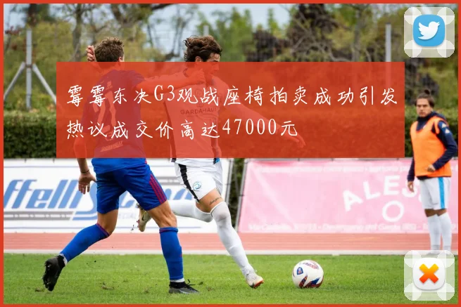霉霉东决G3观战座椅拍卖成功引发热议成交价高达47000元